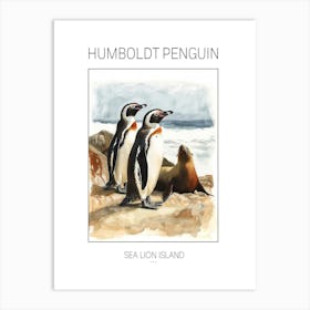 Humboldt Penguin Sea Lion Island Watercolour Painting 1 Poster Art Print