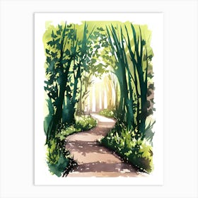 Watercolor Path In The Woods Art Print