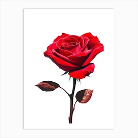 Red Rose Art Print