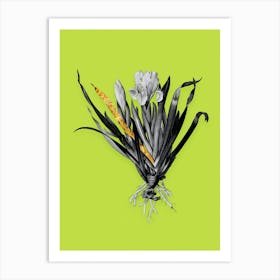 Vintage Crimean Iris Black and White Gold Leaf Floral Art on Chartreuse n.0415 Art Print