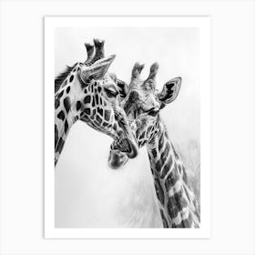 Two Giraffe Together Pencil Drawing 4 Art Print