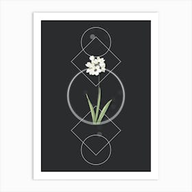 Vintage Ixia Maculata Botanical with Geometric Line Motif and Dot Pattern n.0035 Art Print