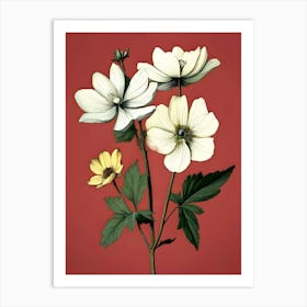 Anemones 7 Art Print