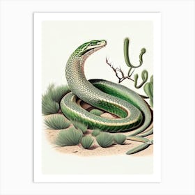Mojave Green Rattlesnake 1 Vintage Art Print