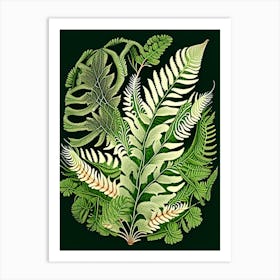 Bracken Fern Wildflower Vintage Botanical 2 Art Print