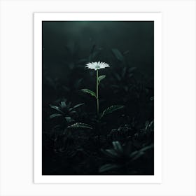 Dark Flower In The Dark Art Print