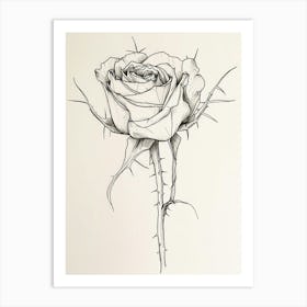 English Rose Black And White Line Drawing 32 Art Print