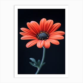 Gerbera Daisy 17 Art Print