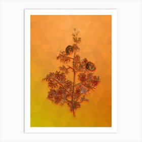 Vintage Mediterranean Cypress Botanical Art on Tangelo n.0844 Art Print