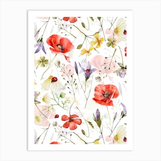 Scandinavian Midsummer  Herbs And Wildflowers Meadow Art Print
