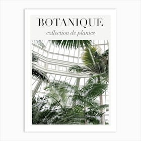 Botanique Palm House Art Print