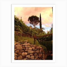 Sunset At The Vineyard Art Print