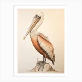 Vintage Bird Drawing Brown Pelican 3 Art Print