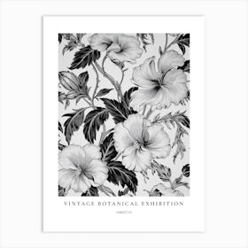 Hibiscus B&W Vintage Botanical Poster Art Print