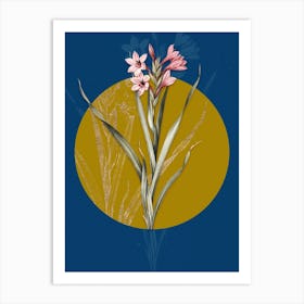 Vintage Botanical Sword Lily on Circle Yellow on Blue 1 Art Print