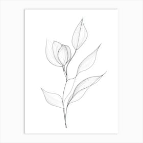 Drawing Of A Flower Art Print