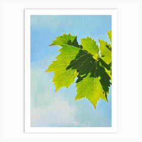 Grape Ivy Bold Graphic Art Print