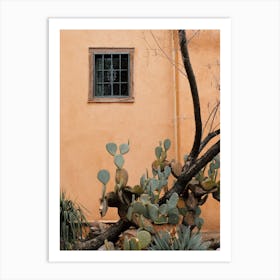 Cactus Along House Art Print