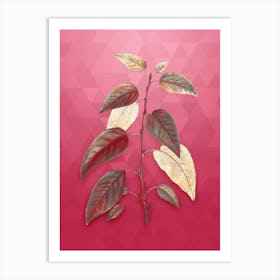 Vintage Balsam Poplar Leaves Botanical in Gold on Viva Magenta n.0471 Art Print