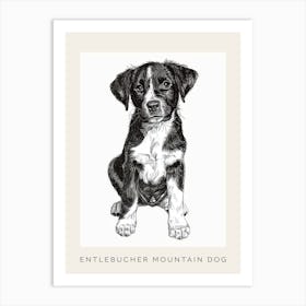 Entlebucher Mountain Dog Line Sketch 3 Poster Art Print