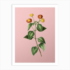 Vintage Tickberry on Branches Botanical on Soft Pink n.0688 Art Print