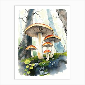 Mushrooms In The Forest Art Print