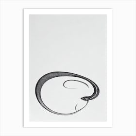 Eel Black & White Drawing Art Print