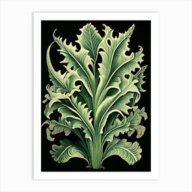 Staghorn Fern 1 Vintage Botanical Poster Art Print