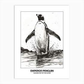 Penguin Hauling Out Of The Water Poster 6 Art Print