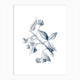 Blue Flower Print 3 Art Print