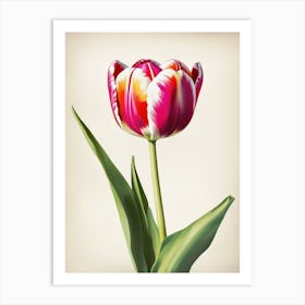 red tulip art Art Print