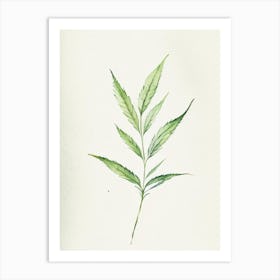 Vervain Leaf Minimalist Watercolour 1 Art Print