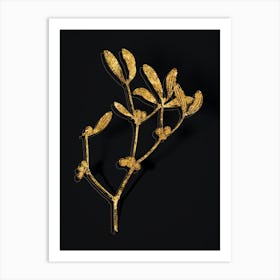Vintage Viscum Album Branch Botanical in Gold on Black n.0286 Art Print