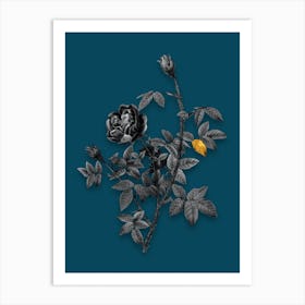 Vintage Moss Rose Black and White Gold Leaf Floral Art on Teal Blue Art Print