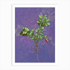 Vintage Lingonberry Botanical Illustration on Veri Peri n.0219 Art Print