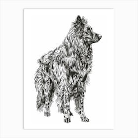 Belgian Tervuren Dog Line Sketch 2 Art Print