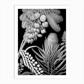 Pincushion Hakea Fern Linocut Art Print