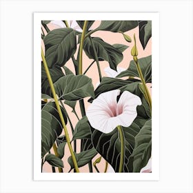 Flower Illustration Morning Glory 3 Art Print