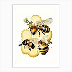 Wax Bees 2 Vintage Art Print
