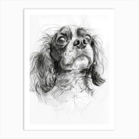 English Toy Spaniel Dog Charcoal Line 1 Art Print