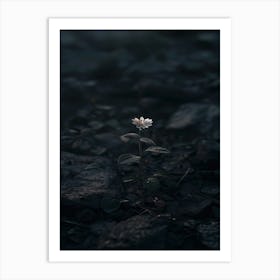 Flower In The Dark 25 Art Print