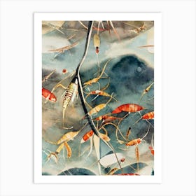 Zooplankton Vintage Graphic Watercolour Art Print