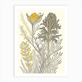 Turmeric Herb William Morris Inspired Line Drawing 3 Art Print