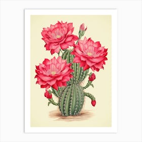 Vintage Cactus Illustration Mammillaria Cactus Art Print