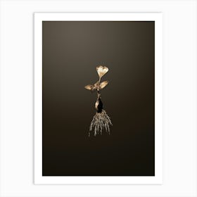 Gold Botanical Cape Tulip on Chocolate Brown n.3485 Art Print