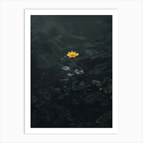 Single Yellow Flower In Water 2 Art Print