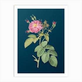 Vintage Harsh Downy Rose Botanical Art on Teal Blue n.0470 Art Print