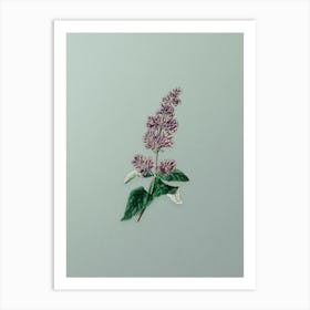 Vintage Lady Josika's Lilac Flower Botanical Art on Mint Green n.0682 Art Print