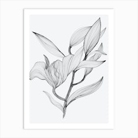 Lily Floral Linear Drawing Art Print