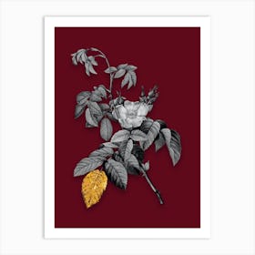 Vintage Apple Rose Black and White Gold Leaf Floral Art on Burgundy Red n.0504 Art Print